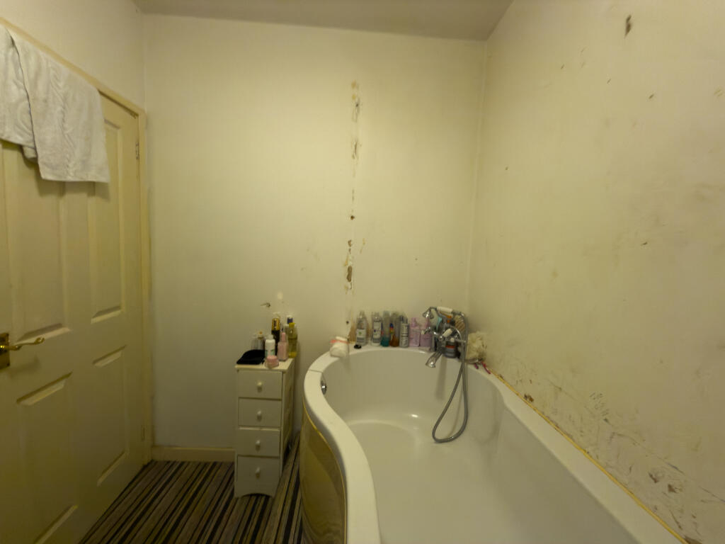 IMG 5419 T202510071943.jpg