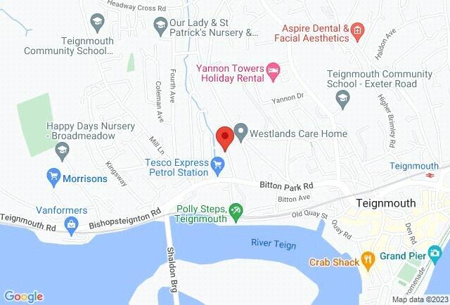 Google Maps Image
