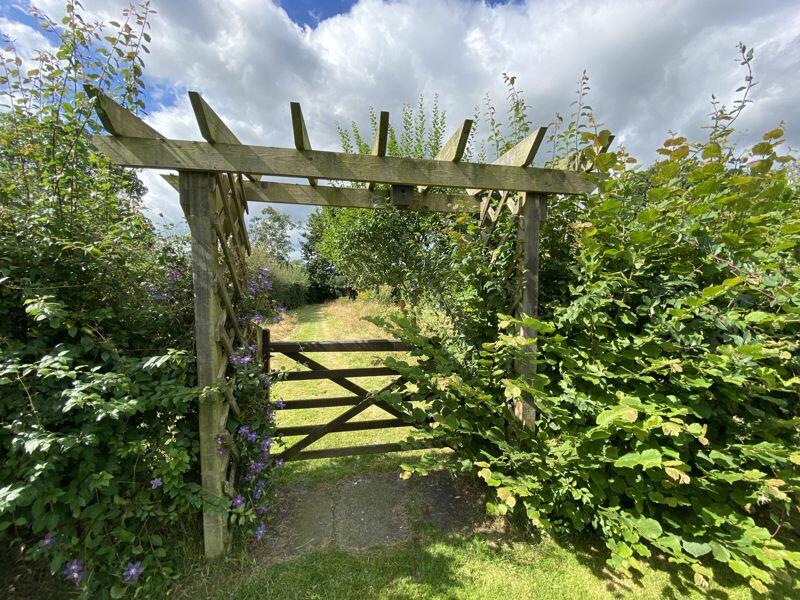 Secret Garden