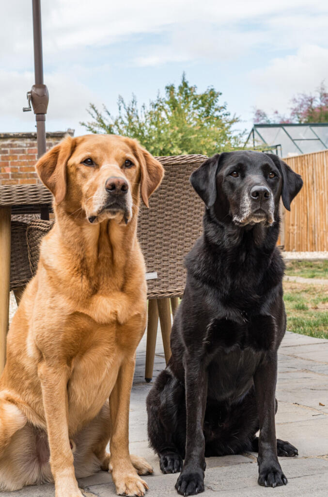 13431822468ad83bce889d