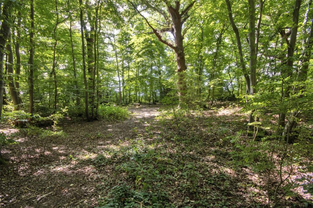 Woodland