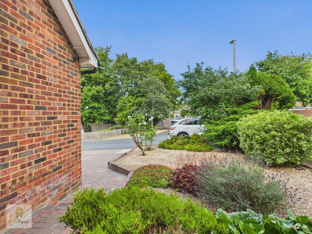 CAM02308G0-PR0160-STILL043