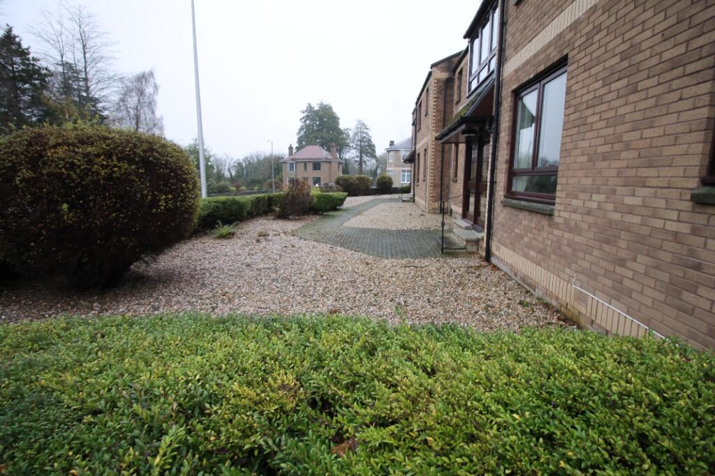 Front garden area