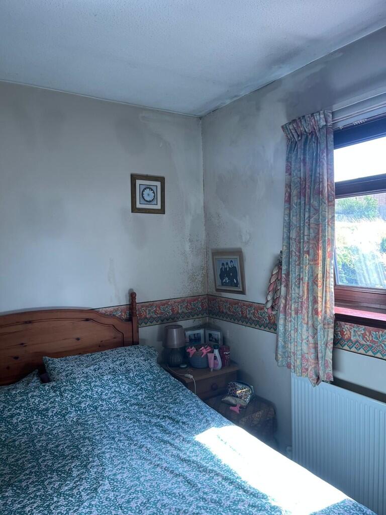 WhatsApp Image 20...