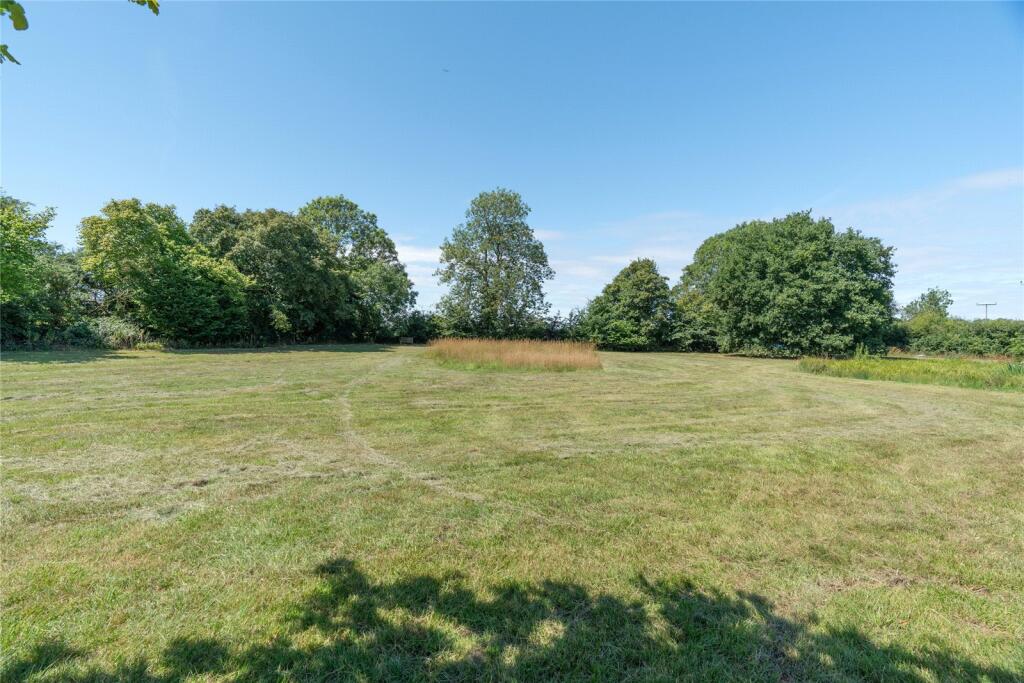 Meadow