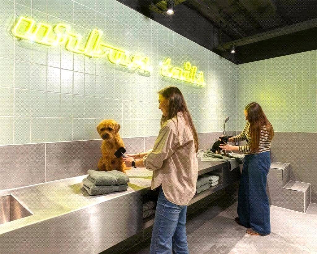 Dog Spa
