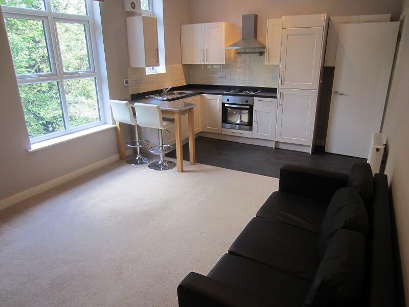 Open Plan Lounge Kitchen