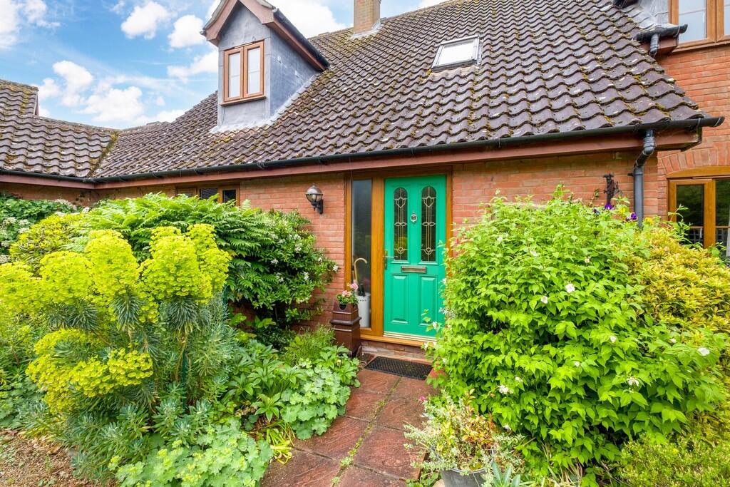 1440px-Hedgehogs-...