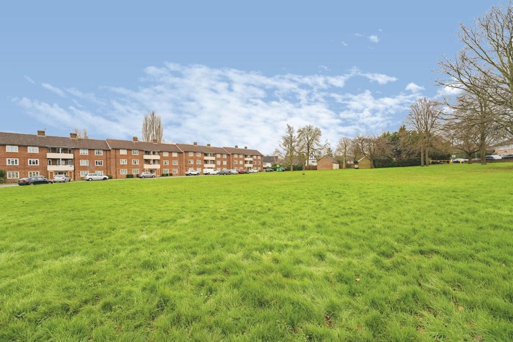 Communal Gardens