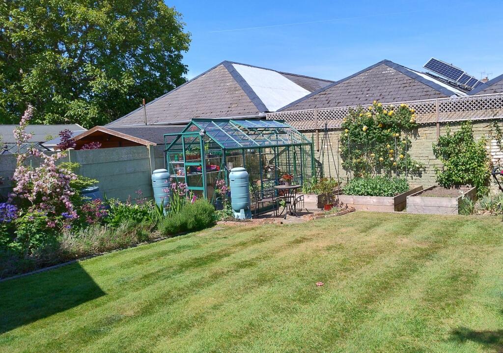 Garden (4)