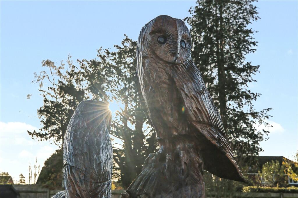 Owl