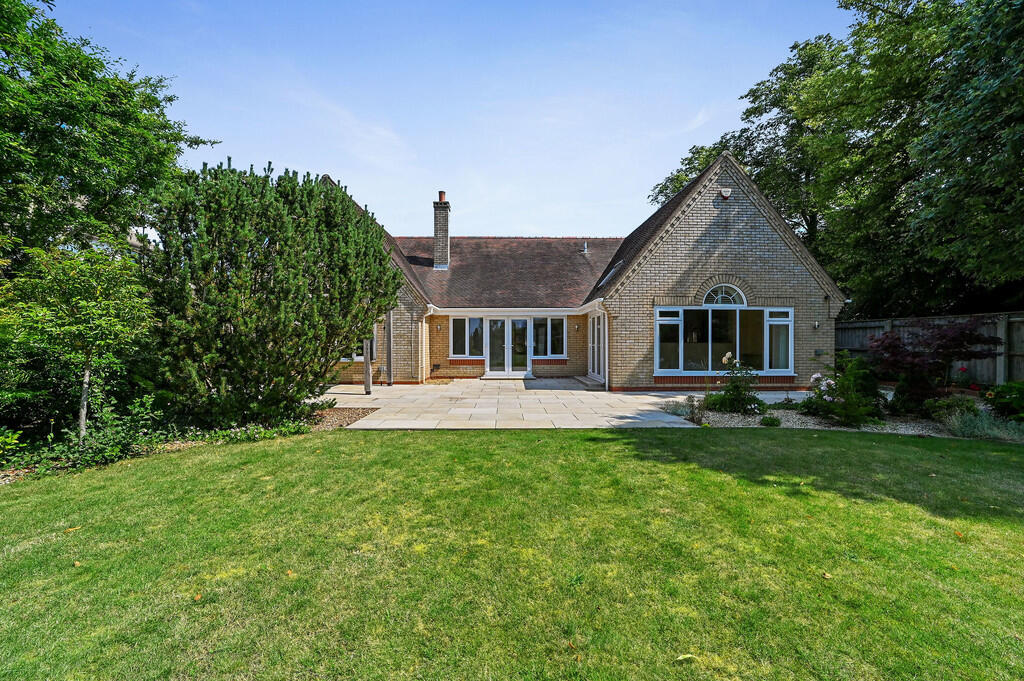 PT-DB(WP)-Brindle...