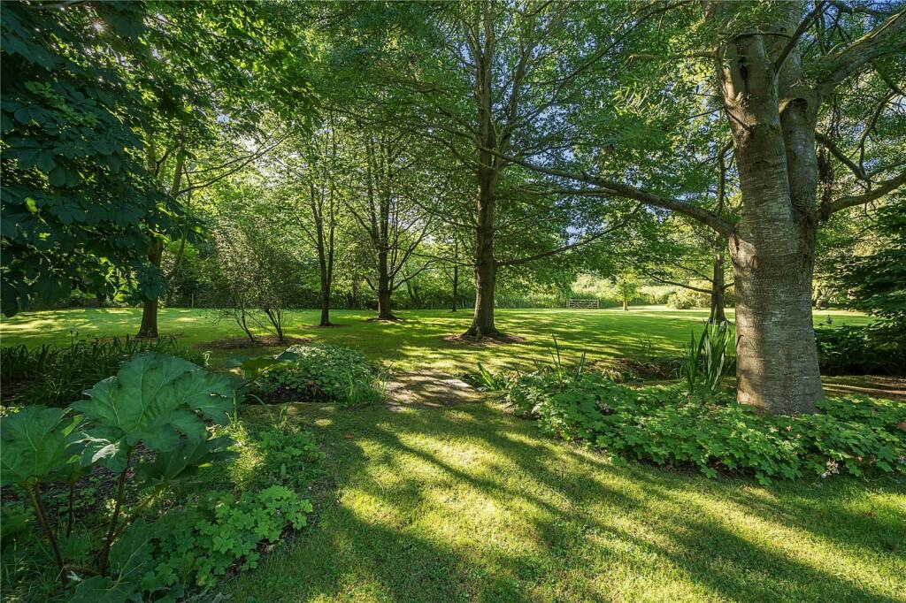 Wooded Garden