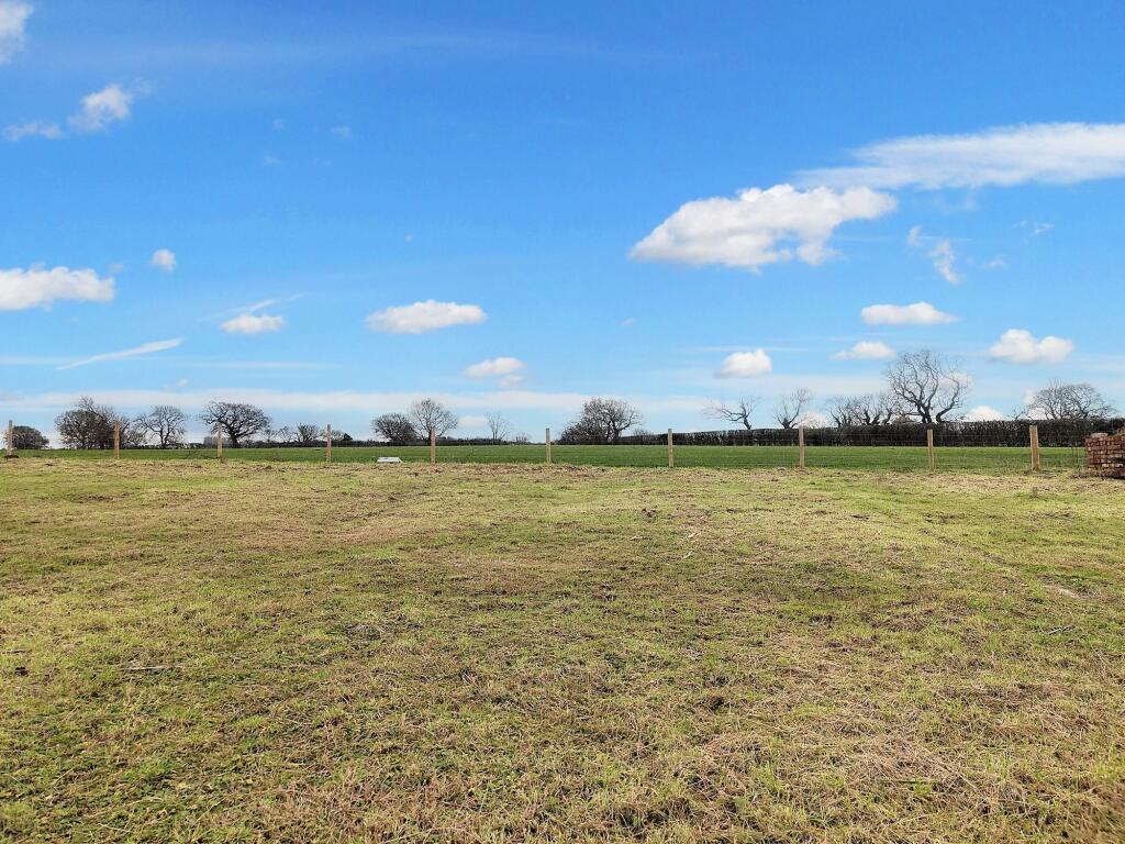 South Facing Garden Plot