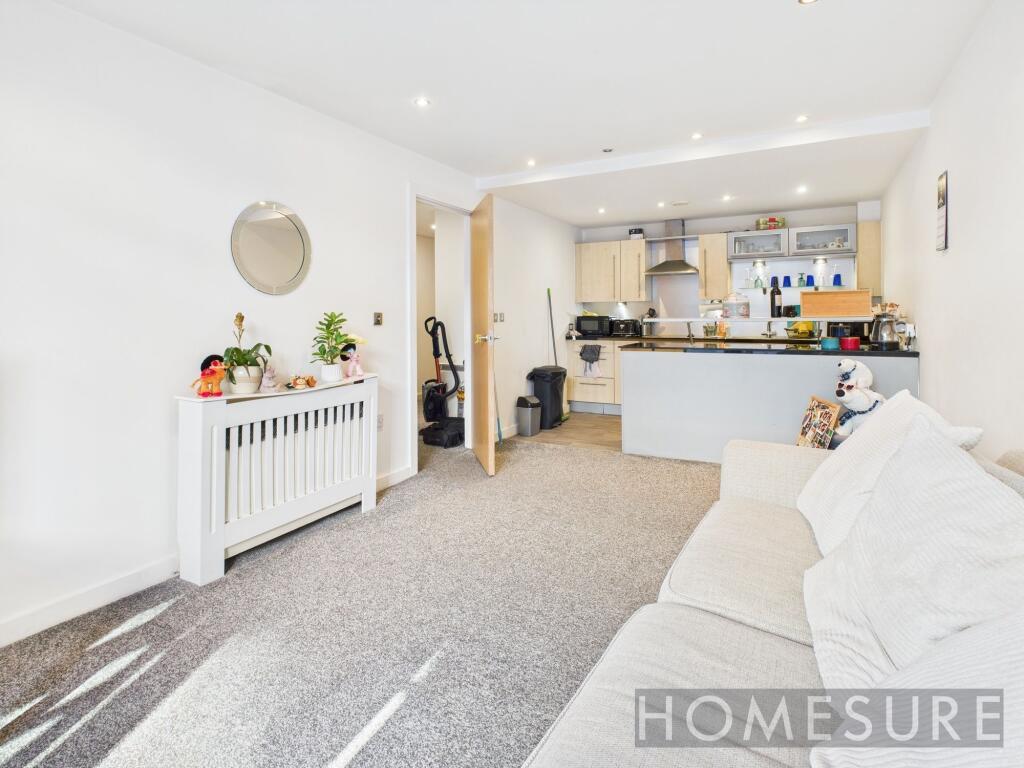 Kitchen/Living Area
