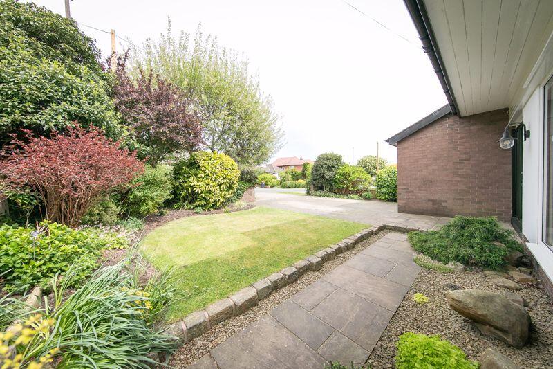 Front garden and driveway