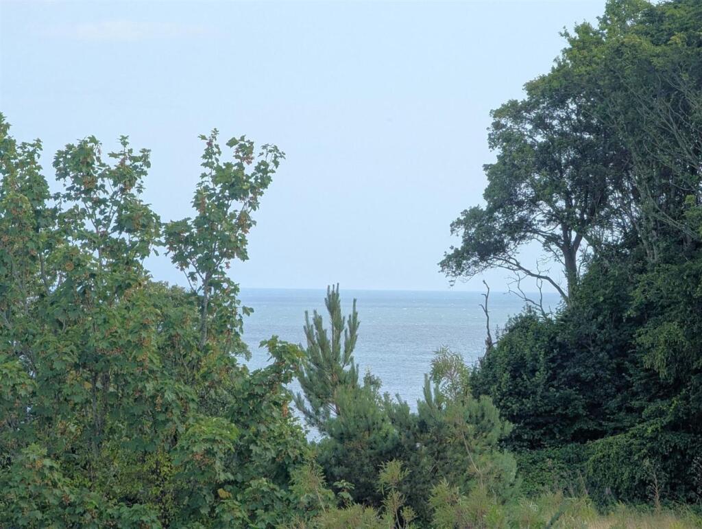 PXL_20250805_140151736.jpg
