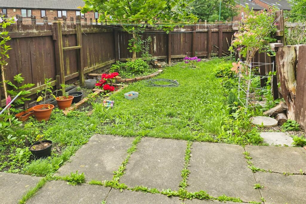 Back garden