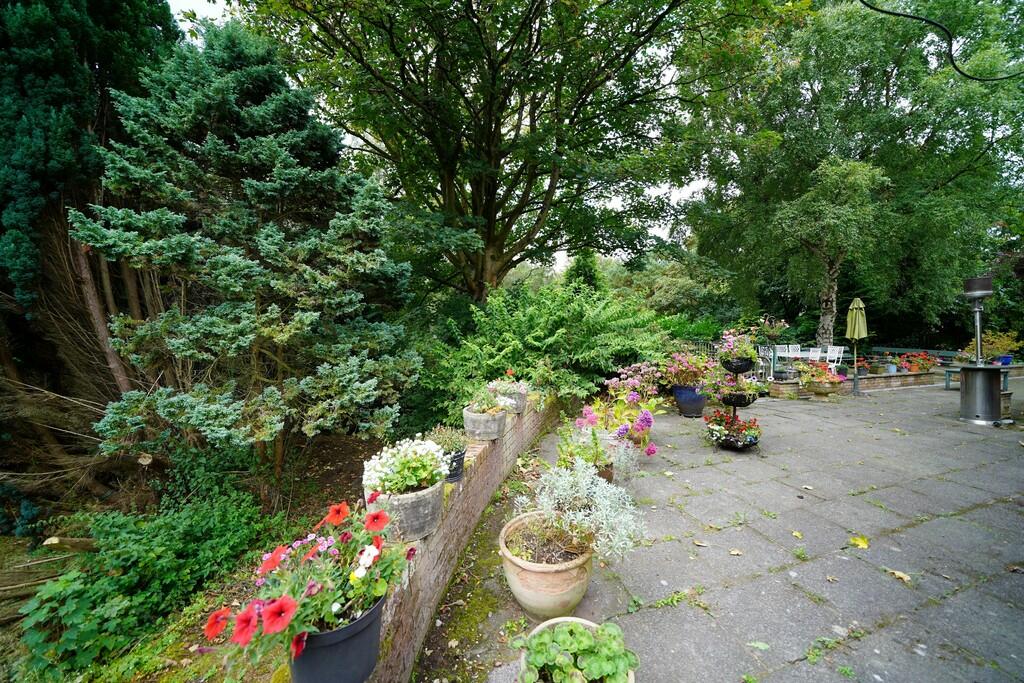 Patio To The Main...