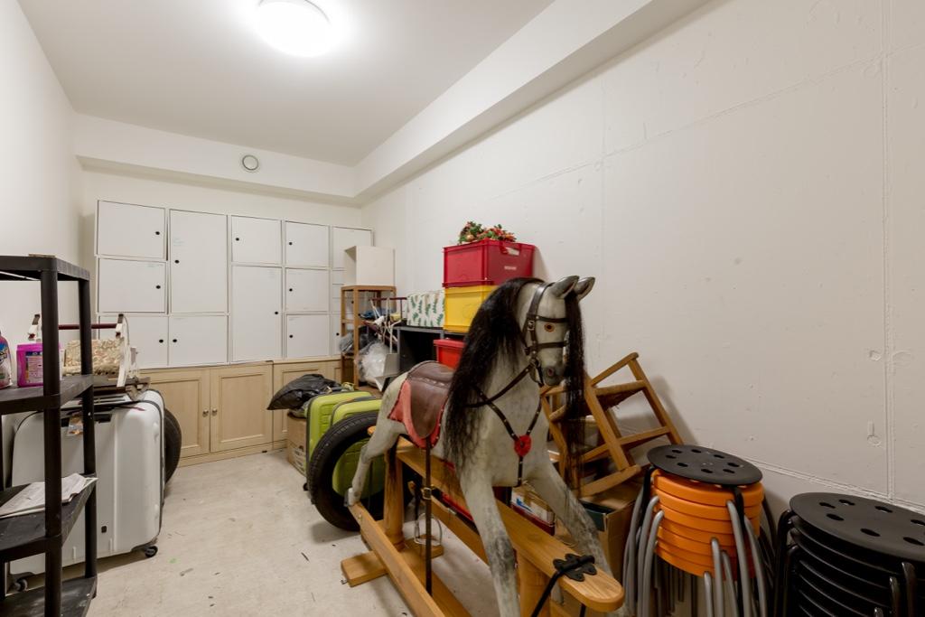 Basement Storage