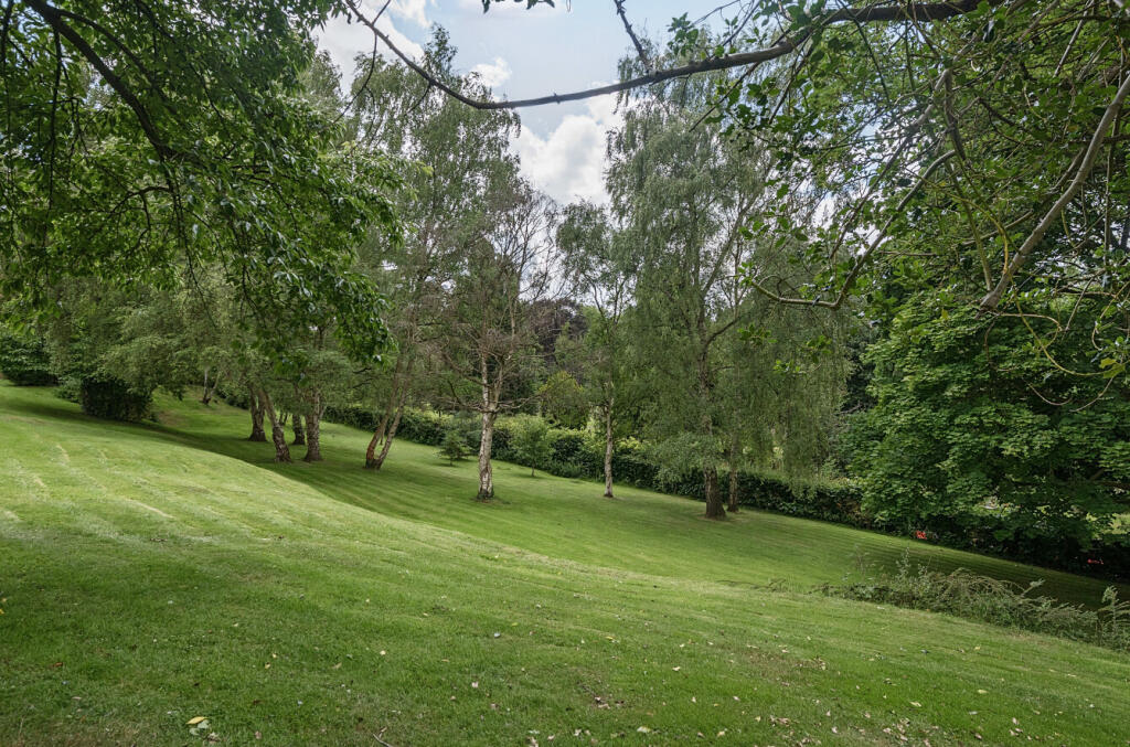 1315852-4-685d48d...