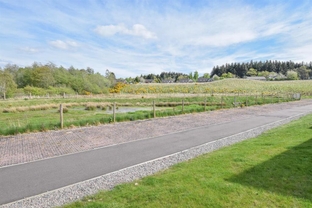 AREA OF GREEN -2.jpg