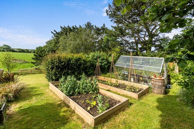 veg patches