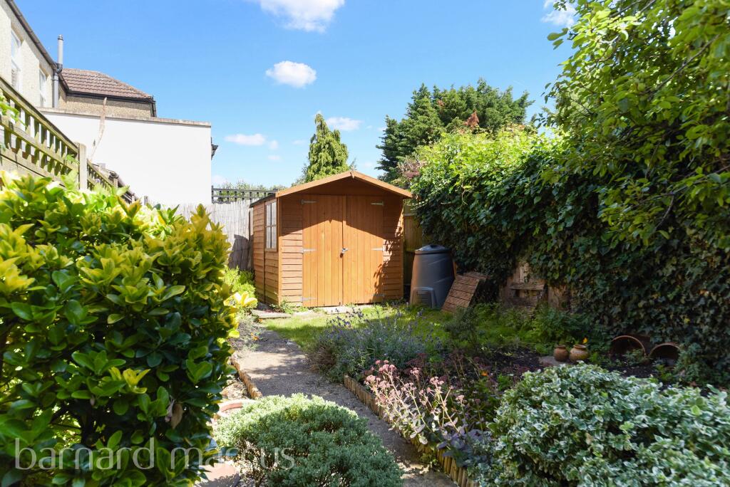 Garden