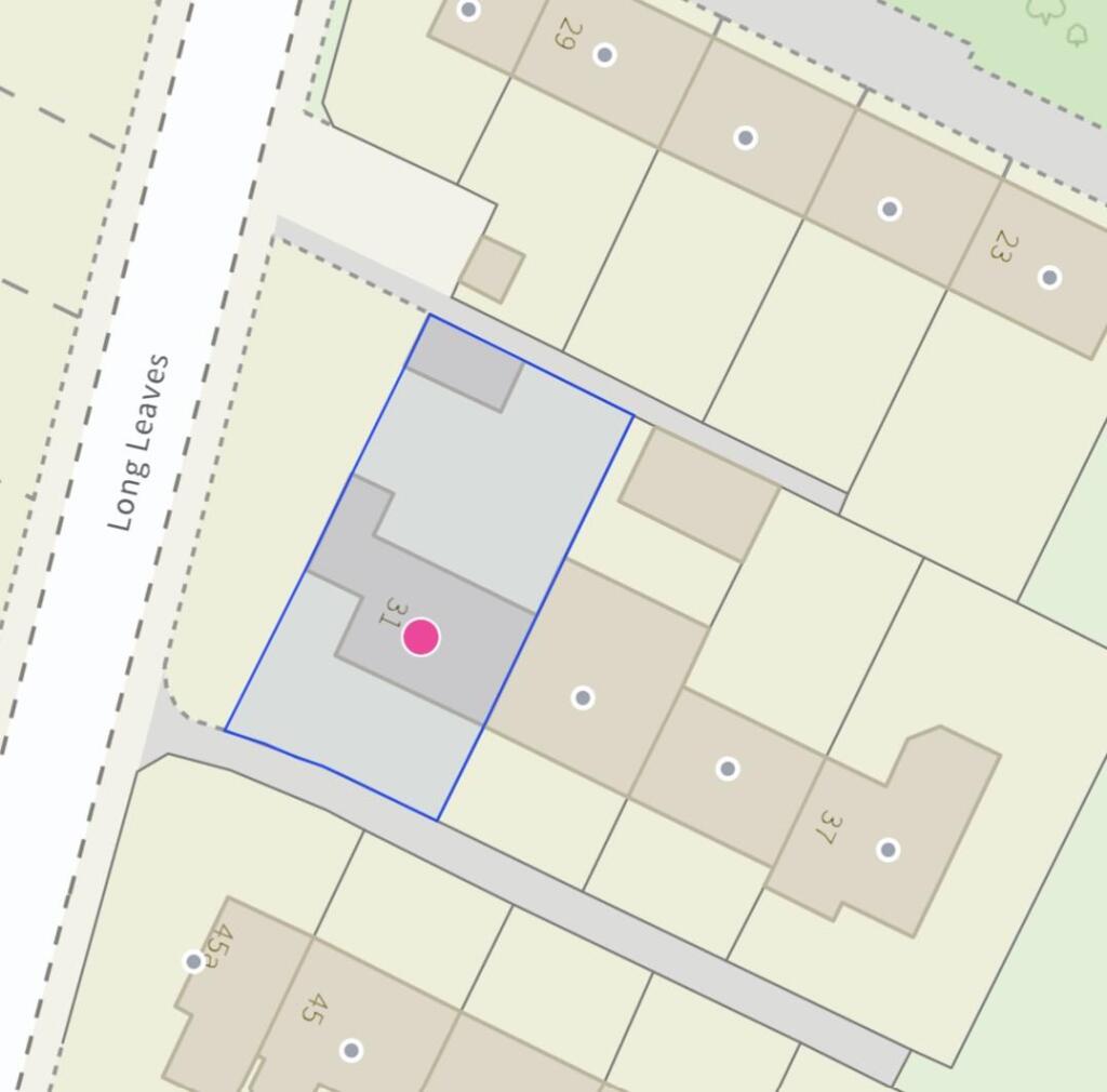 Boundary Long Leaves.jpg