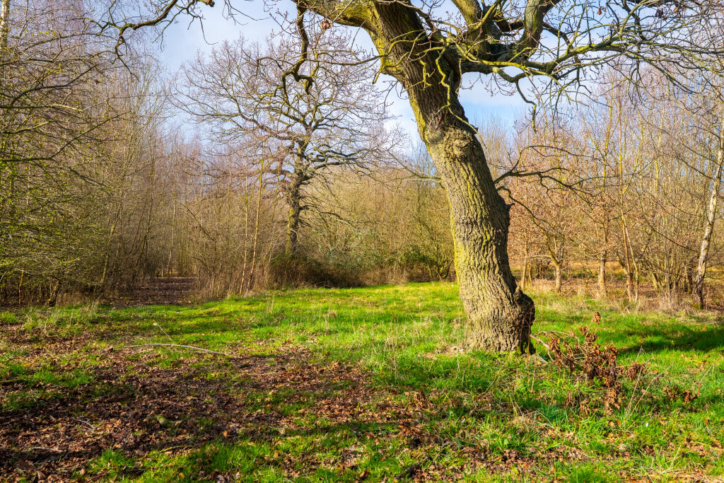 easthaggfarmground3