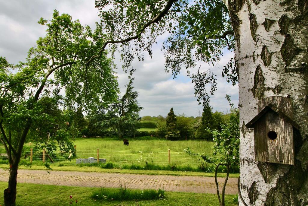 View from Garden to Paddock