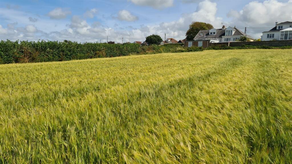 2023-07-13 15.58.55.jpg