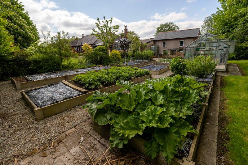 Vegetable Garden