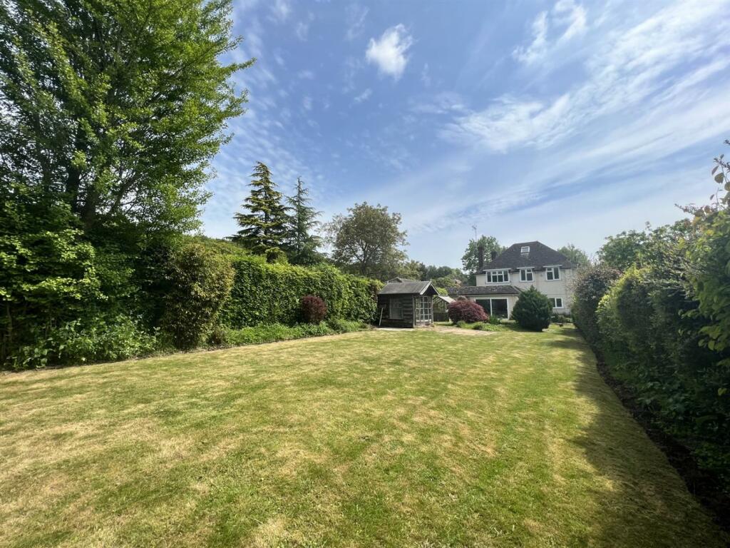 garden 3.jpg