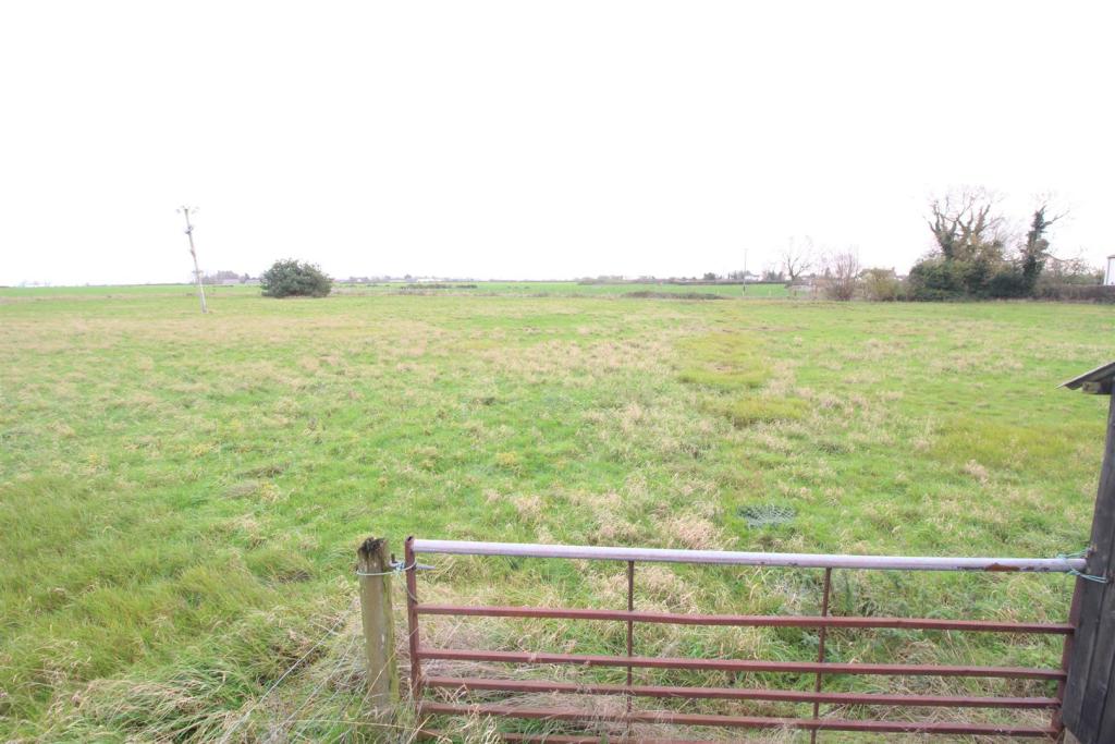 Grounds &amp; Paddock