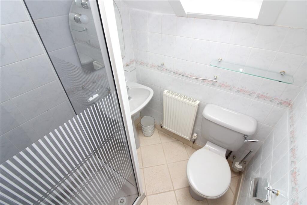 IMG 6818  Medium  T202510021650.jpg