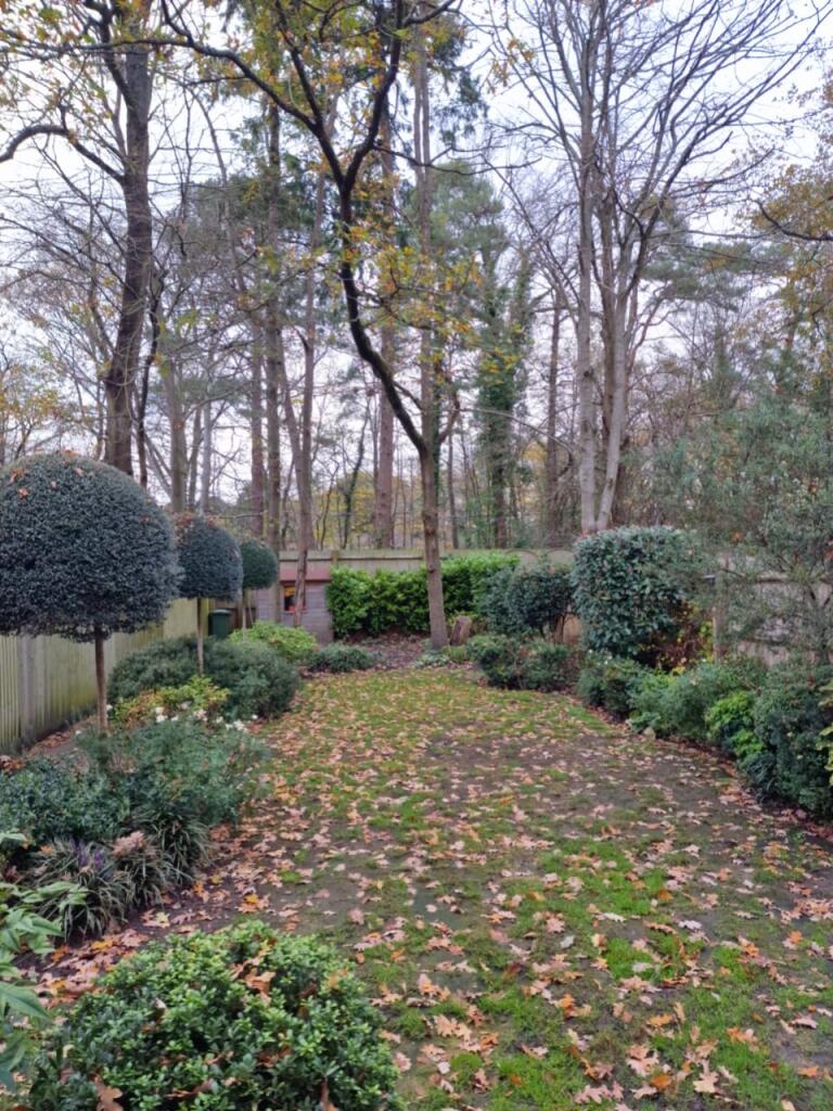 Garden 2