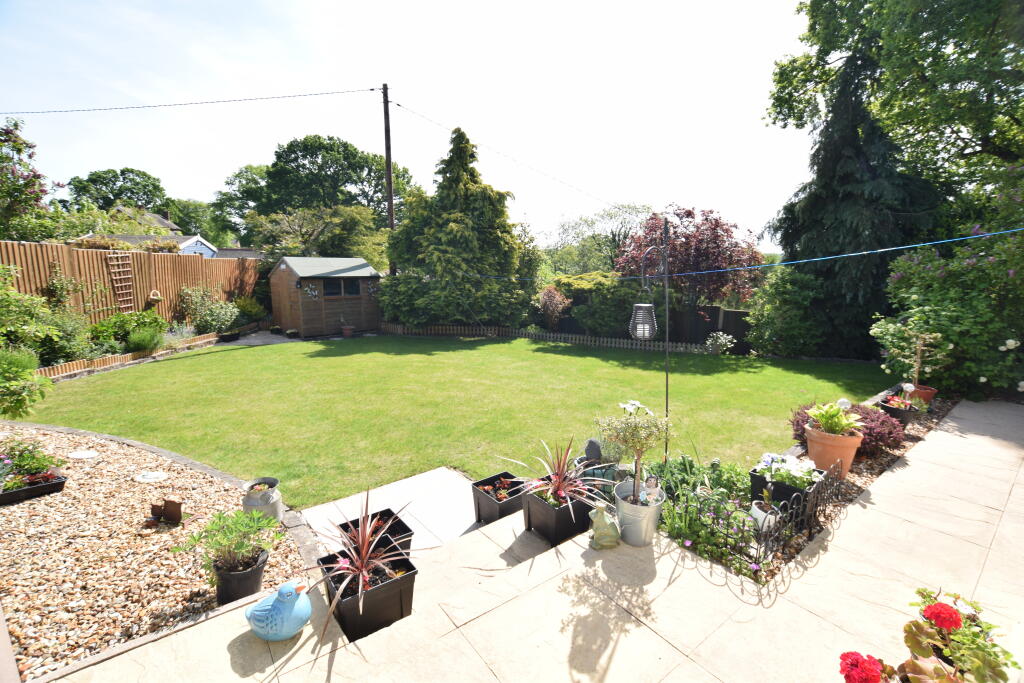 garden