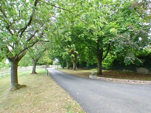 Driveway