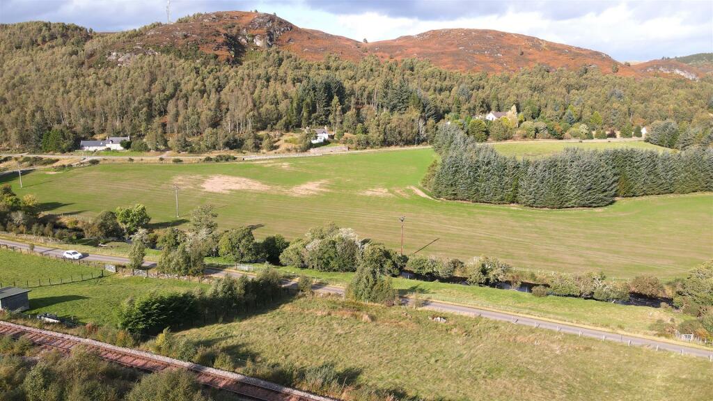 DALMORE 5