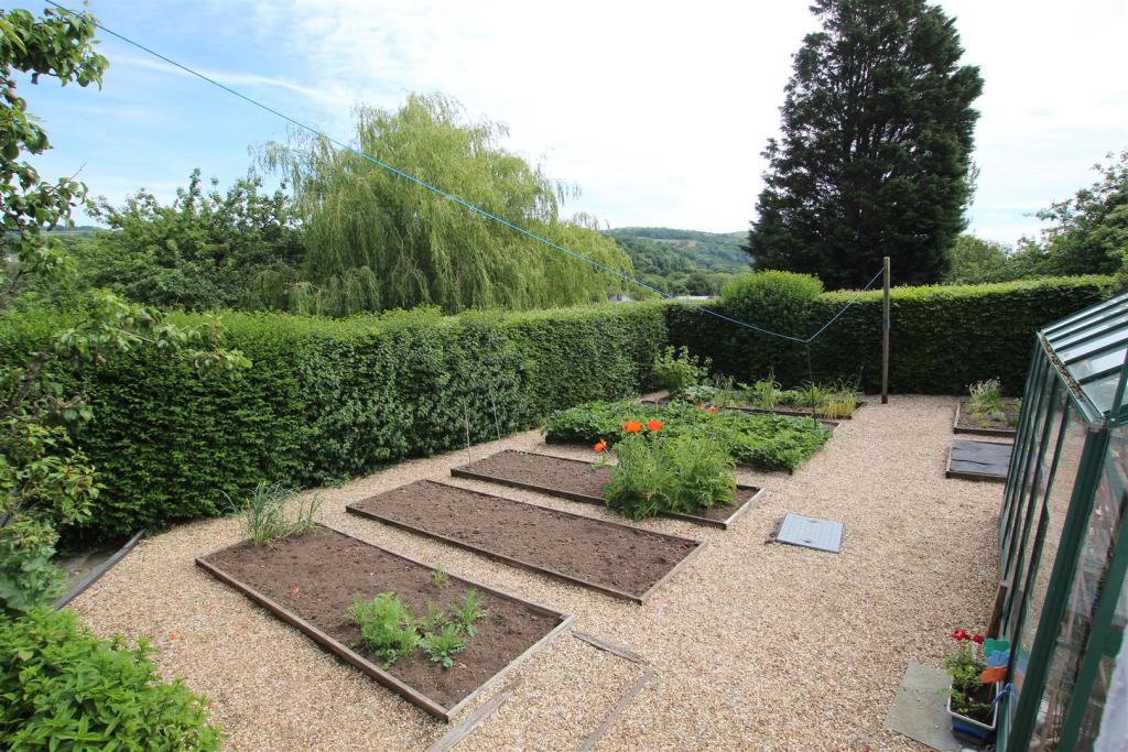 veg garden.JPG