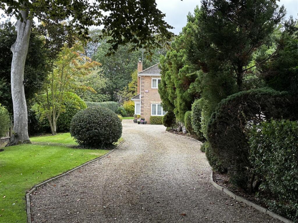 Driveway