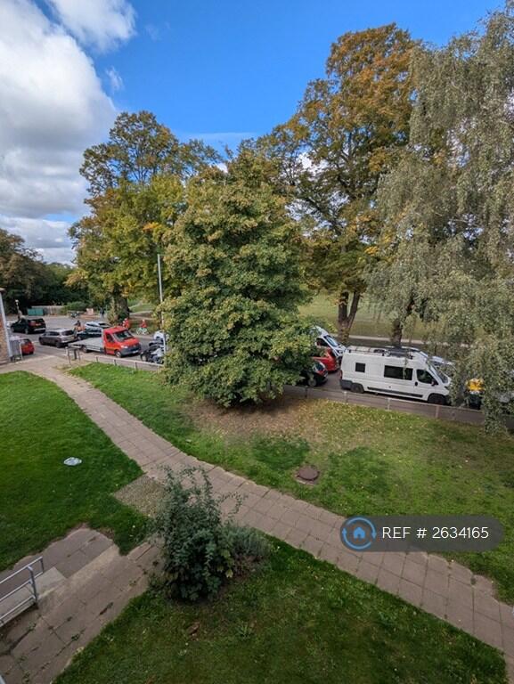 View From The Second Bedroom/ Fairfield Park 