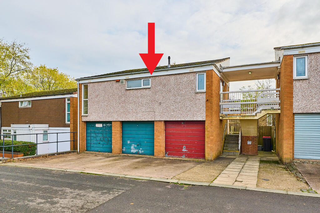 Red Arrow Front T202411111627.jpg
