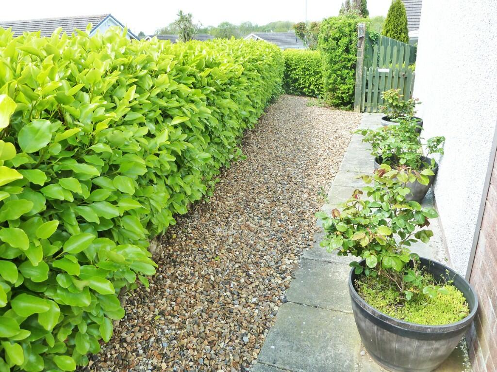 Side Garden