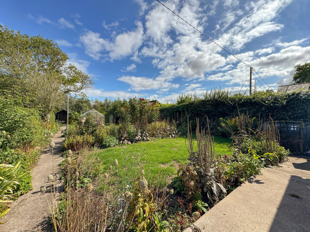 Garden (2)