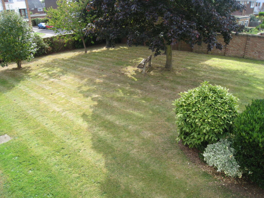 Communal Garden View