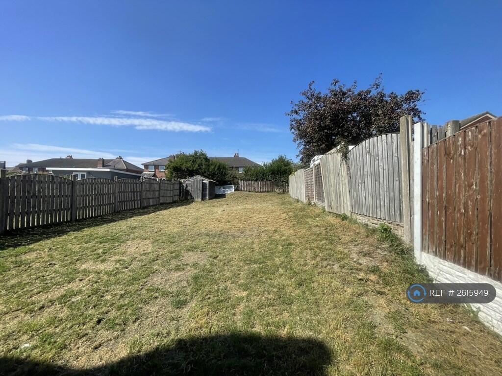 Back Garden