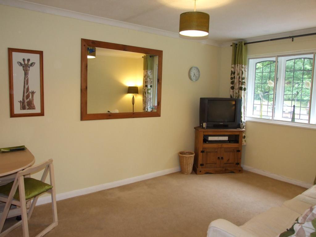 Picture 6