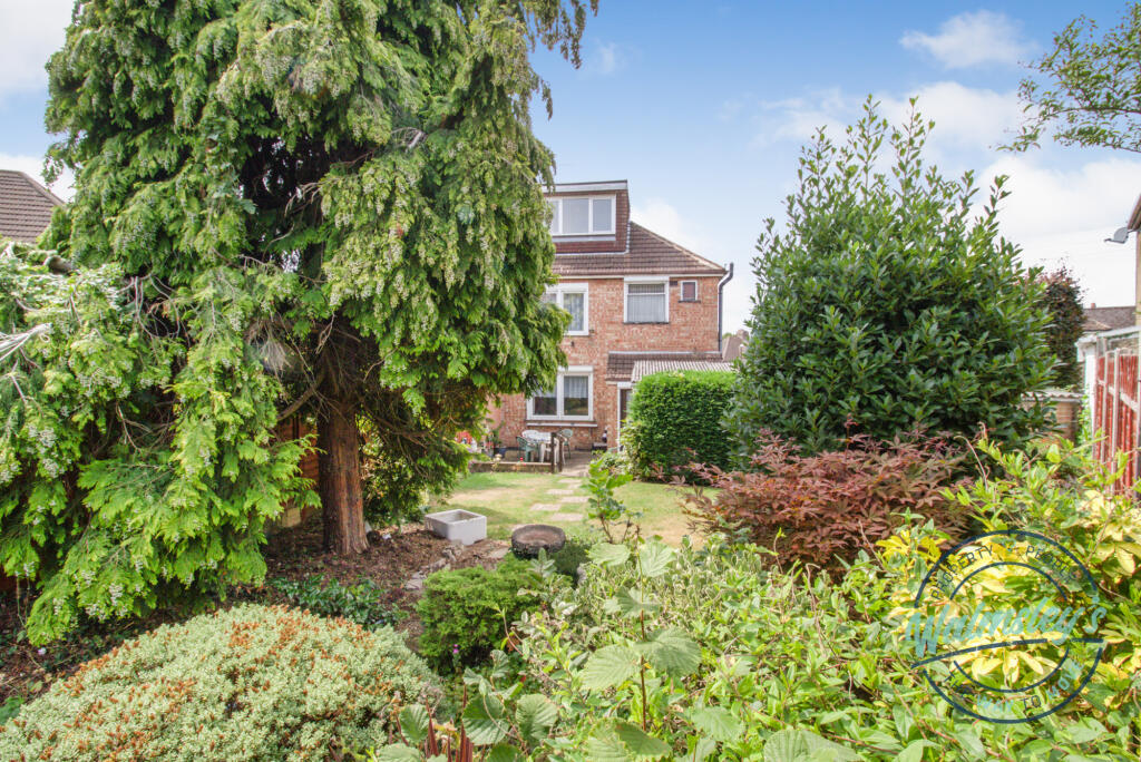 Mature rear gardens